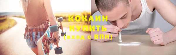 ешки Аркадак