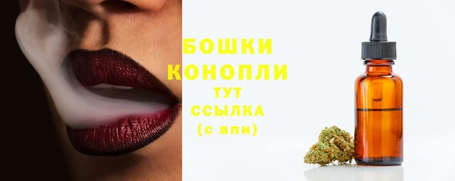 ешки Аркадак