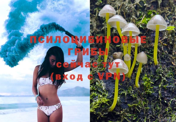 ешки Аркадак