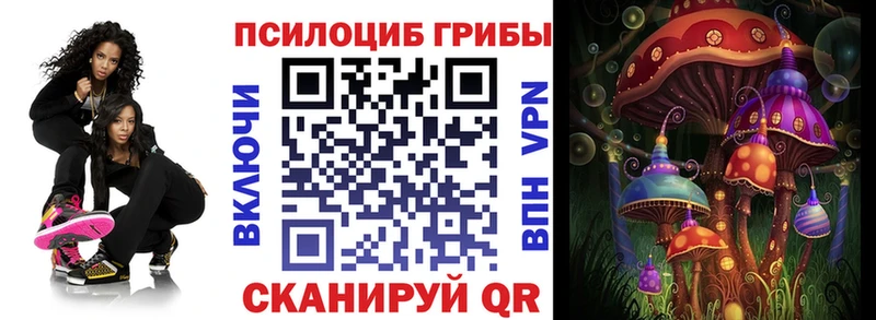 Псилоцибиновые грибы Psilocybine cubensis  Северобайкальск 